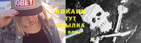 стафф Армянск