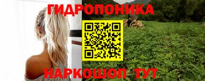 ПСИЛОЦИБИНОВЫЕ ГРИБЫ Бузулук