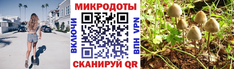 Галлюциногенные грибы прущие грибы Белореченск