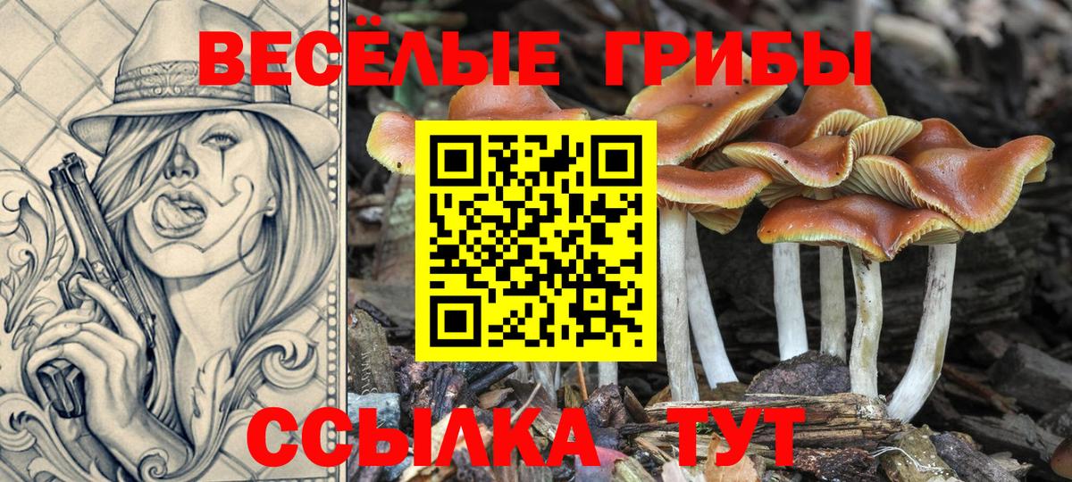 Галлюциногенные грибы Magic Shrooms  Вход с VPN  Псилоцибиновые грибы MAGIC MUSHROOMS  Белореченск 