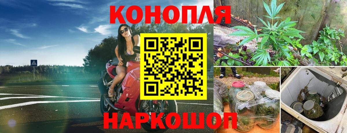 Бошки марихуана сатива Белореченск